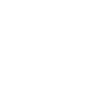 Animation - 1741168214073